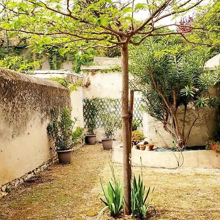 Au Coeur De Avec Jardin Appartement *