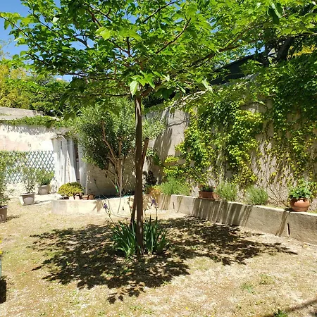 Appartement Au Coeur De Avec Jardin Cassis